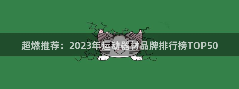 zoty中欧体育官方正版app娱乐代理怎么样：超燃推