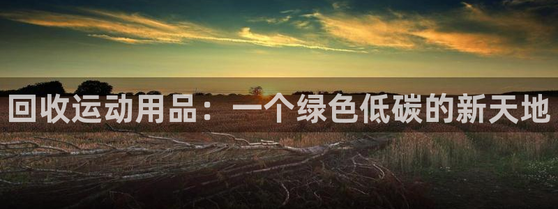 zoty中欧体育官方正版app开户：回收运动用品：一