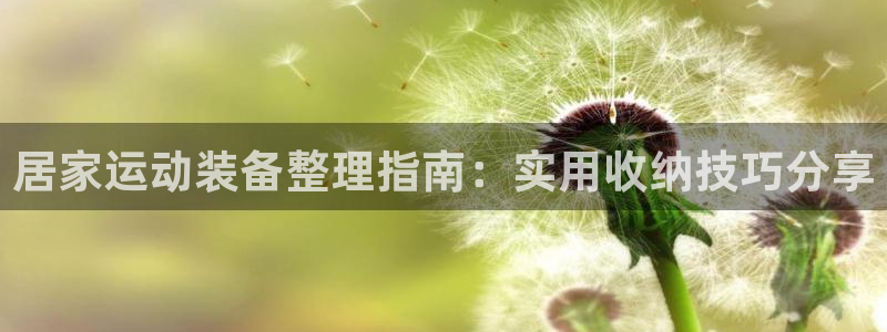 德国zoty中欧体育官方正版app集团：居家运动装备