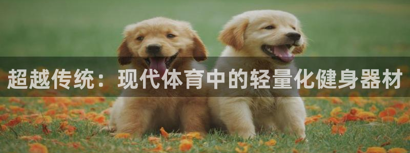 zoty中欧体育官方正版app科技：超越传统：现代体育中的轻