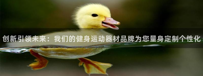 zoty中欧体育官网下载平台是正规平台吗安全吗：创新