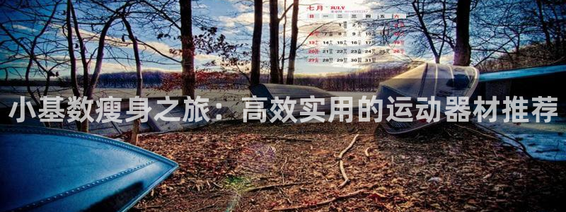 zoty中欧体育官方正版app五金厂：小基数瘦身之旅