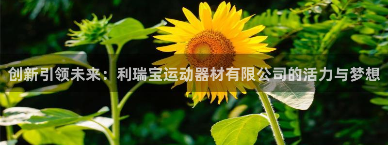 zoty中欧体育官网下载招商电话是多少：创新引领未来：利瑞宝