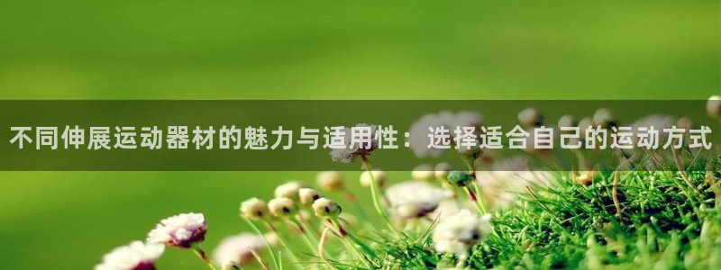 zoty中欧体育官网下载平台APP：不同伸展运动器材的魅力与
