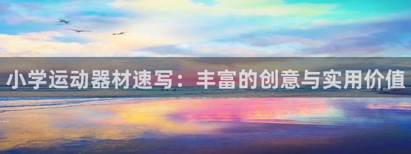 zoty中欧官方平台体育：小学运动器材速写：丰富的创