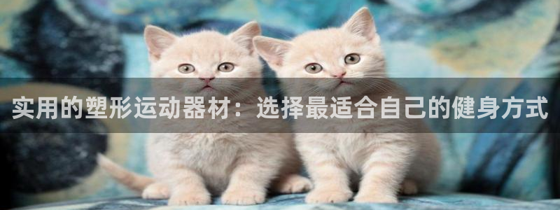 zoty中欧体育官网下载平台：实用的塑形运动器材：选择最适合