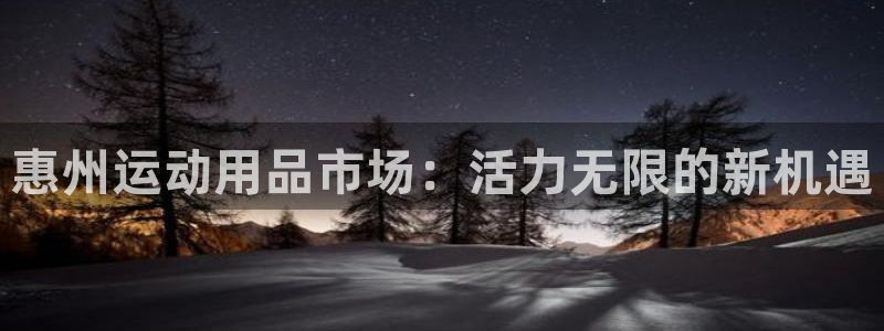 zoty中欧体育官方正版app集团：惠州运动用品市场：活力无