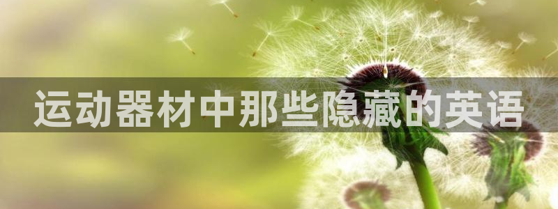 zoty中欧体育官方正版app娱乐平台：运动器材中那
