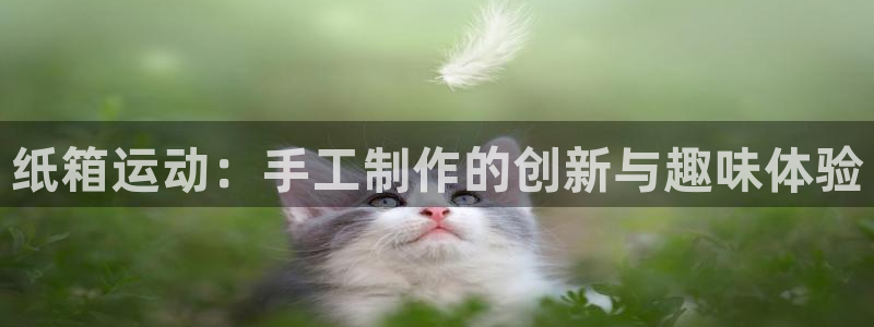 zoty中欧体育官网下载平台假的吗是真的吗吗：纸箱运动：手工
