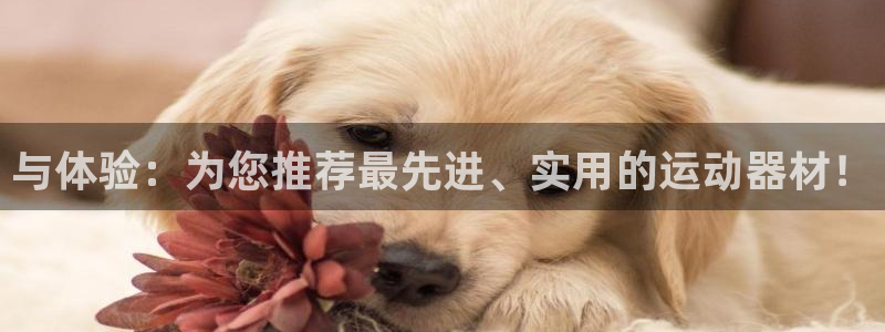 zoty中欧体育官方正版app集团官网网址：与体验：为您推荐