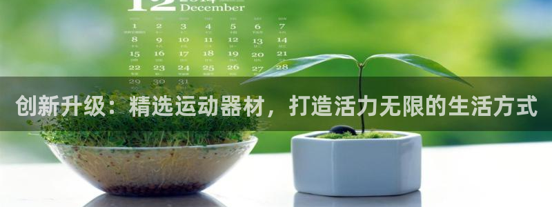 zoty中欧官方集团官网：创新升级：精选运动器材，打造活力无