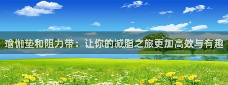 zoty中欧体育官方正版app科技：瑜伽垫和阻力带：