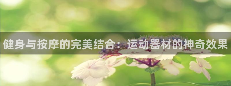 zoty中欧体育官网下载平台注册：健身与按摩的完美结合：运动