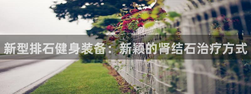 zoty中欧体育官方正版app娱乐首页网站大全：新型排石健身