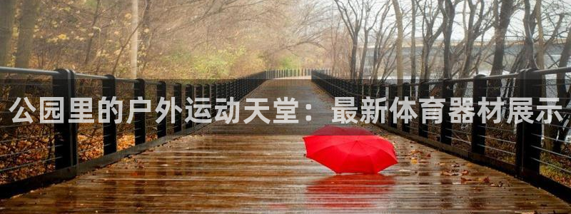 zoty中欧体育官方正版app开户：公园里的户外运动天堂：最