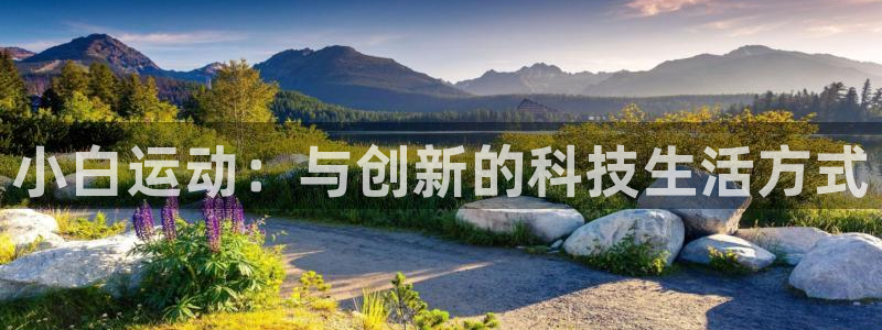 zoty中欧体育官方正版app集团官网首页网址