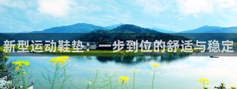 zoty中欧官方平台体育：新型运动鞋垫：一步到位的舒适与稳定