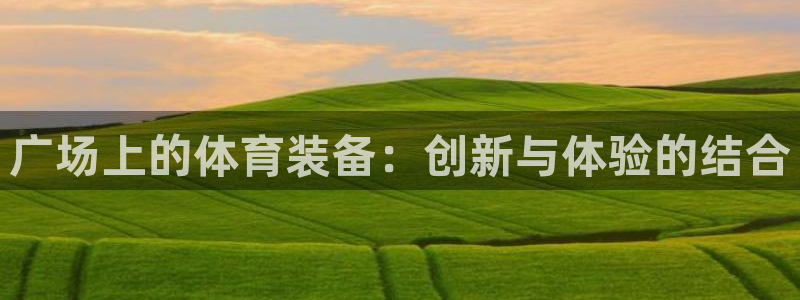 zoty中欧体育官方正版app娱乐代理怎么样：广场上的体育装