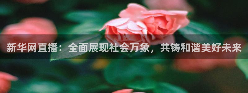 jrs柠檬直播：新华网直播：全面展现社会万象，共铸和谐美好未来