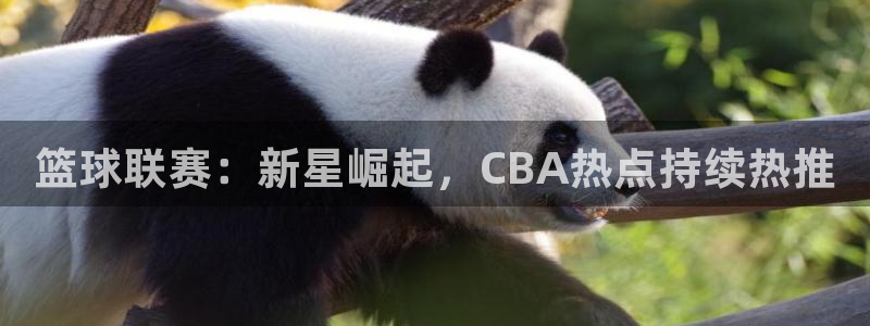 柠檬nba直播在线观看免费：篮球联赛：新星崛起，CBA热点持续热推