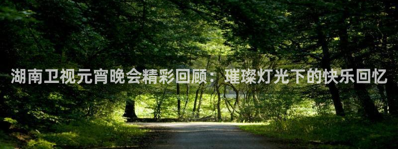 柠檬直播jrs：湖南卫视元宵晚会精彩回顾：璀璨灯光下的快乐回忆