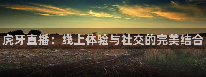nba柠檬体育免费直播：虎牙直播：线上体验与社交的完美结合