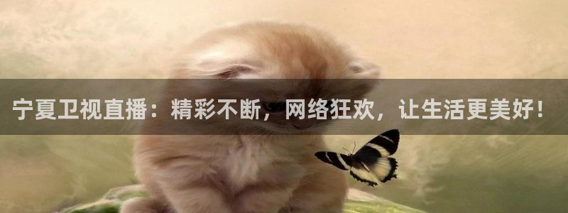 柠檬直播在线直播nba：宁夏卫视直播：精彩不断，网络狂欢，让生活更美好！