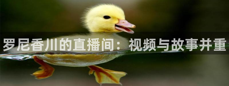 柠檬直播nba：罗尼香川的直播间：视频与故事并重
