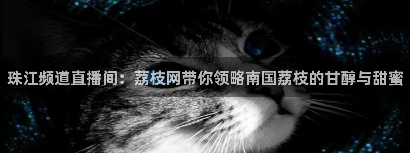 柠檬直播足球直播：珠江频道直播间：荔枝网带你领略南国荔枝的甘醇与甜蜜
